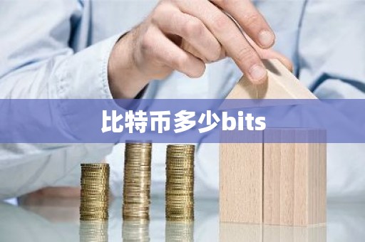 比特币多少bits