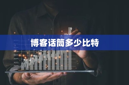 博客话筒多少比特