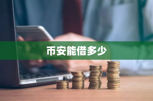 币安能借多少