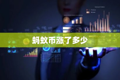 蚂蚁币涨了多少