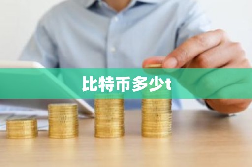 比特币多少t