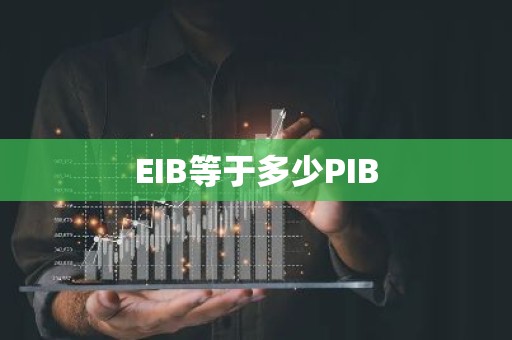 EIB等于多少PIB