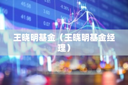 王晓明基金（王晓明基金经理）