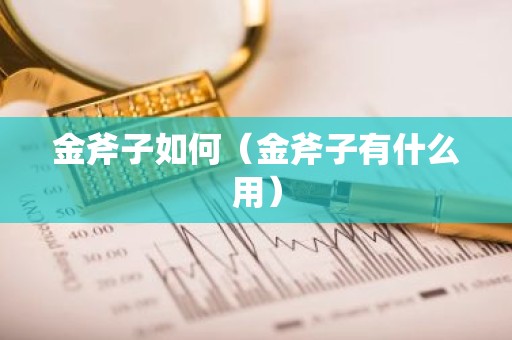 金斧子如何（金斧子有什么用）