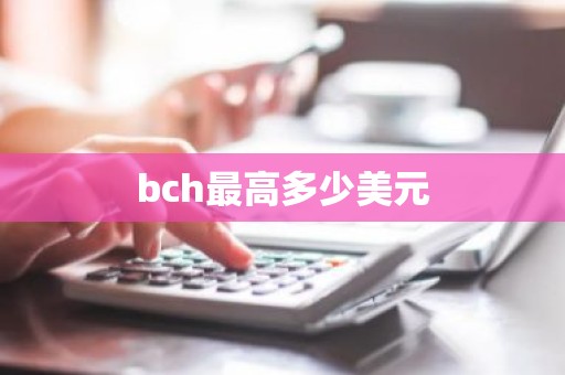 bch最高多少美元