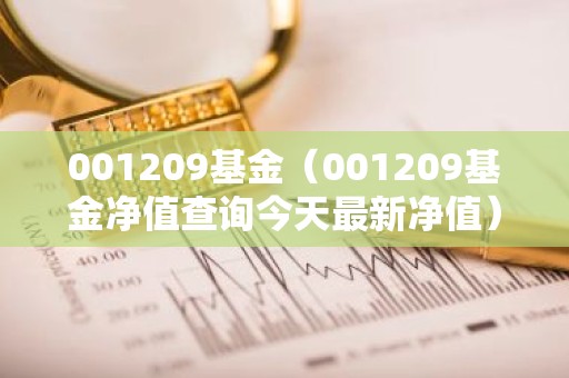 001209基金（001209基金净值查询今天最新净值）