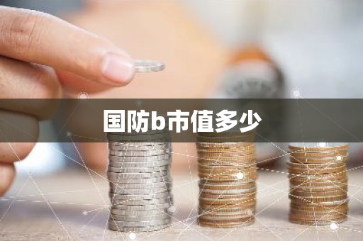 国防b市值多少