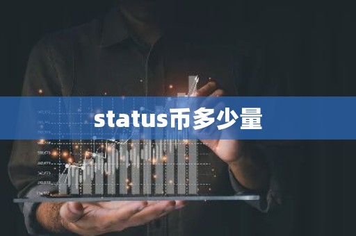 status币多少量