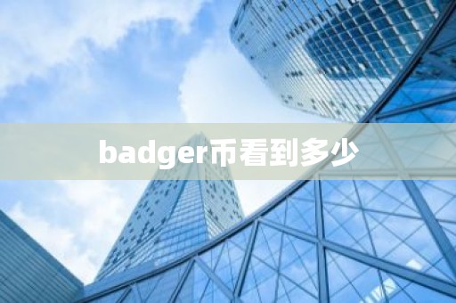 badger币看到多少