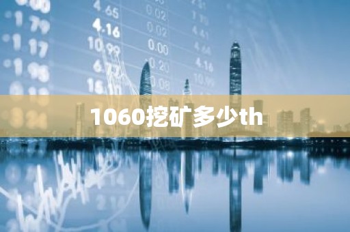 1060挖矿多少th