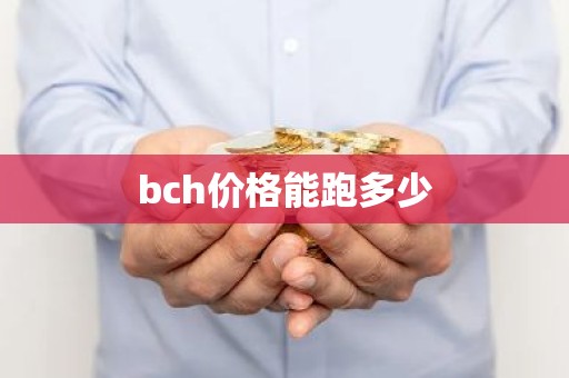 bch价格能跑多少