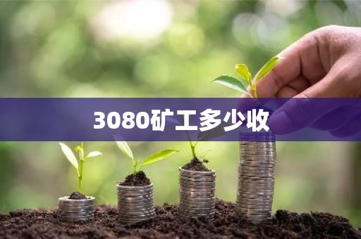 3080矿工多少收