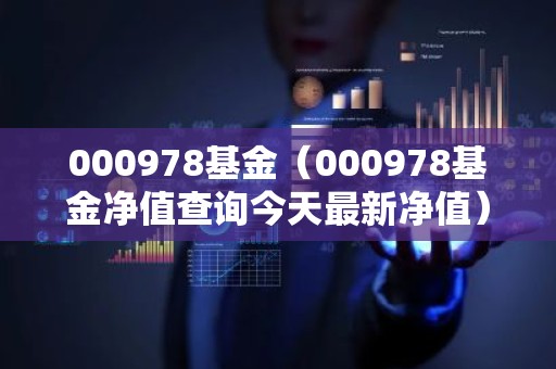 000978基金（000978基金净值查询今天最新净值）