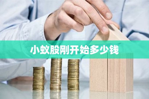 小蚁股刚开始多少钱