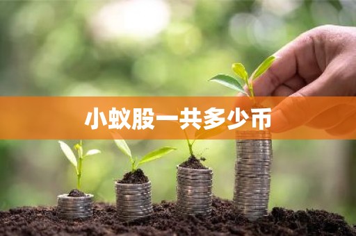 小蚁股一共多少币