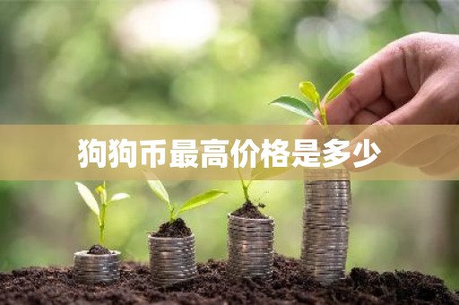 狗狗币最高价格是多少