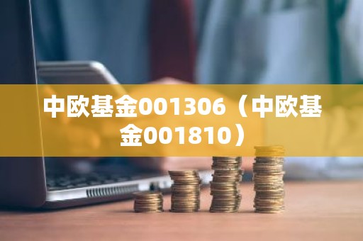 中欧基金001306（中欧基金001810）