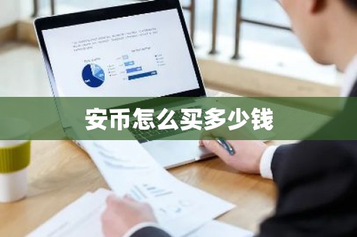安币怎么买多少钱