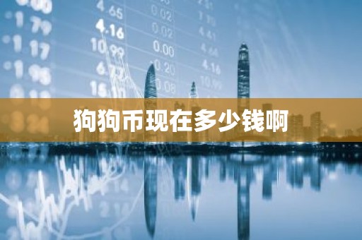 狗狗币现在多少钱啊