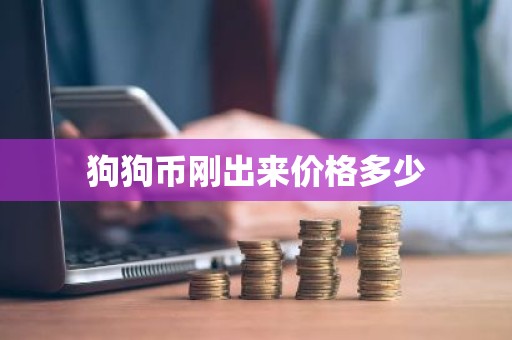 狗狗币刚出来价格多少