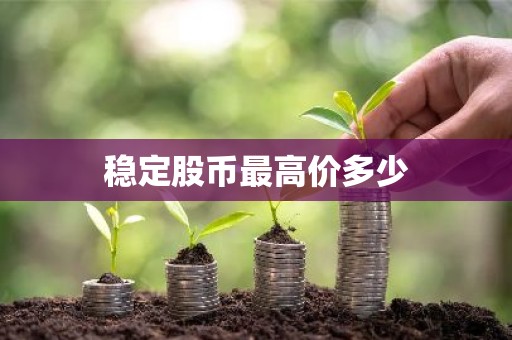 稳定股币最高价多少