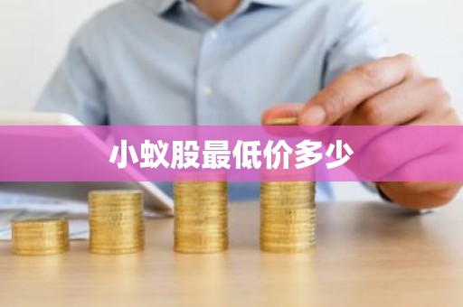 小蚁股最低价多少