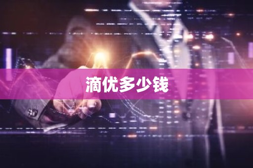 滴优多少钱