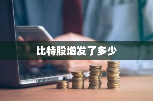 比特股增发了多少