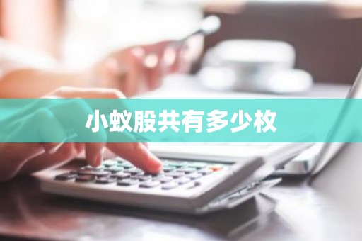 小蚁股共有多少枚