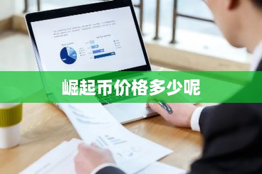 崛起币价格多少呢