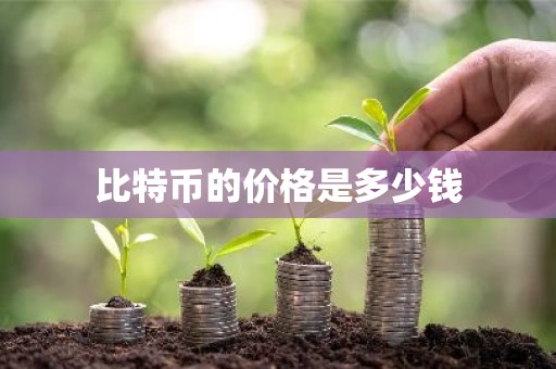 比特币的价格是多少钱