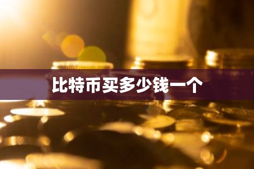 比特币买多少钱一个