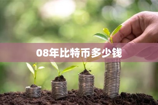 08年比特币多少钱