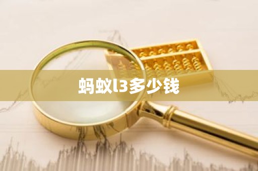 蚂蚁l3多少钱