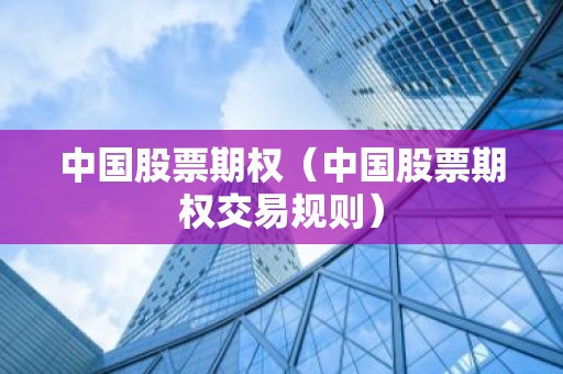 中国股票期权（中国股票期权交易规则）
