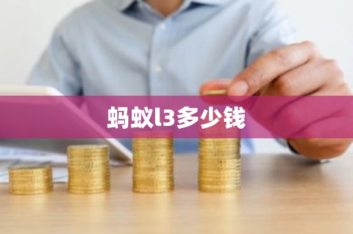 蚂蚁l3多少钱