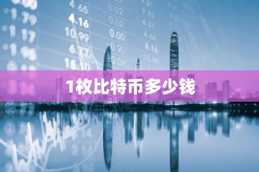 1枚比特币多少钱