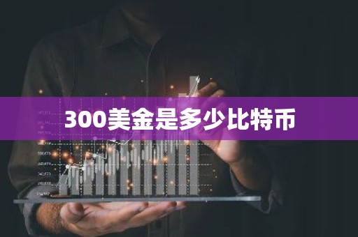 300美金是多少比特币