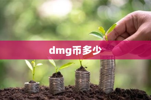 dmg币多少