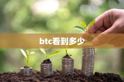 btc看到多少