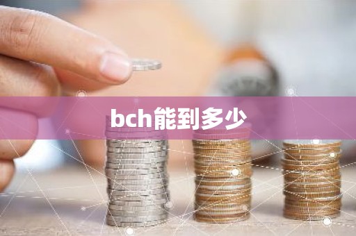 bch能到多少