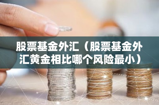 股票基金外汇（股票基金外汇黄金相比哪个风险最小）