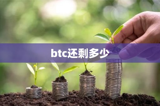 btc还剩多少