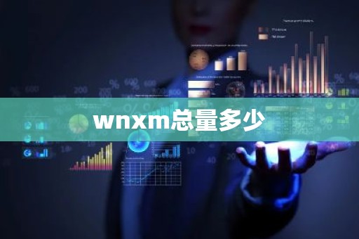wnxm总量多少