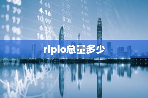 ripio总量多少