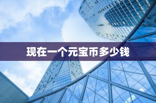 现在一个元宝币多少钱