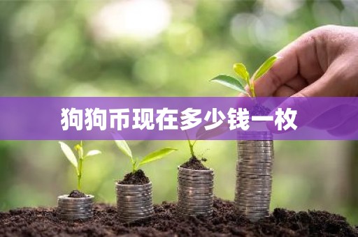 狗狗币现在多少钱一枚