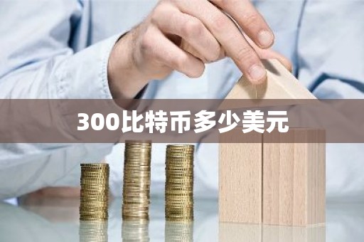 300比特币多少美元