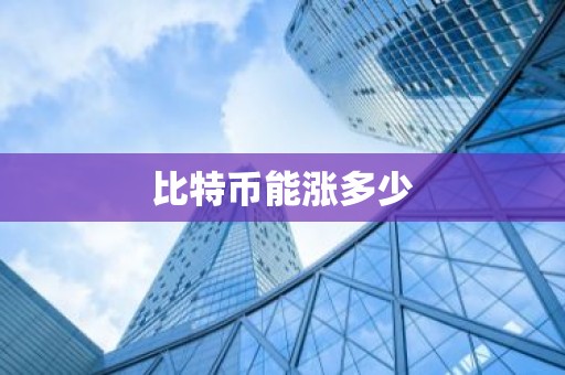 比特币能涨多少