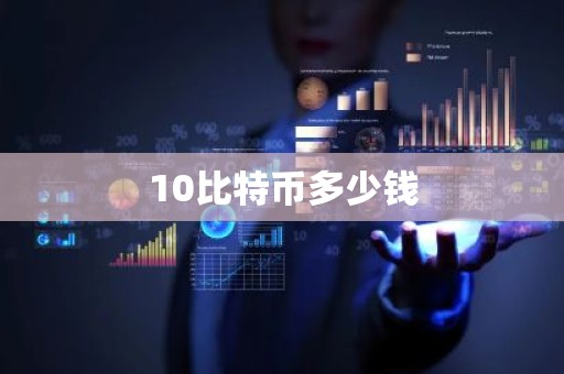 10比特币多少钱